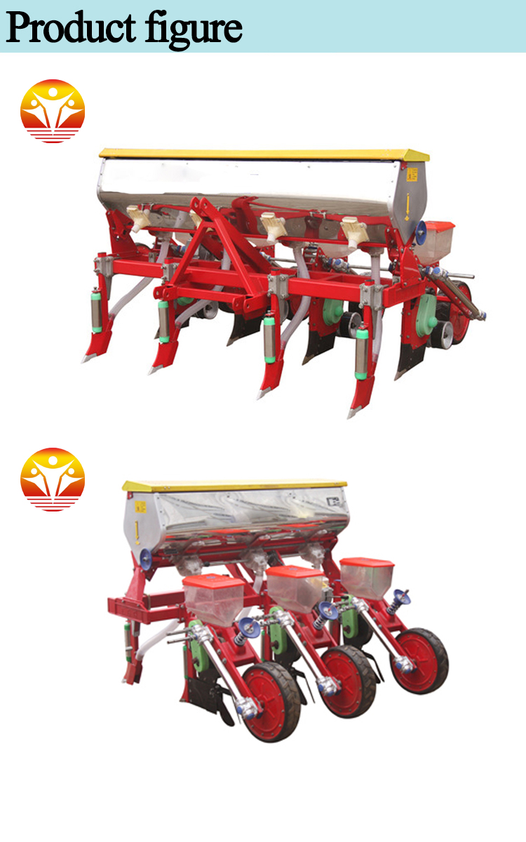 1545103558819998.jpg 3 (2).jpg