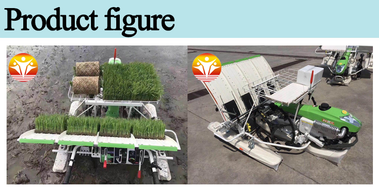 1545289540558880.jpg 3 (2).jpg