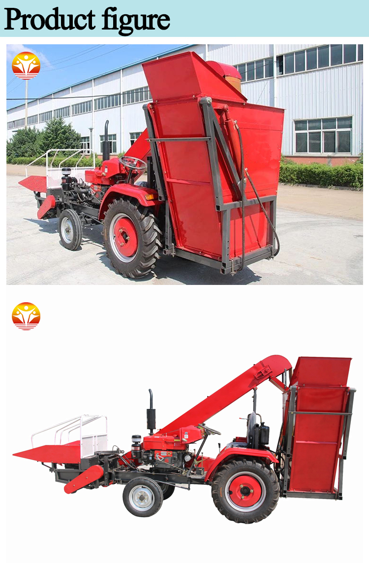 1545355475279057.jpg 3 (2).jpg